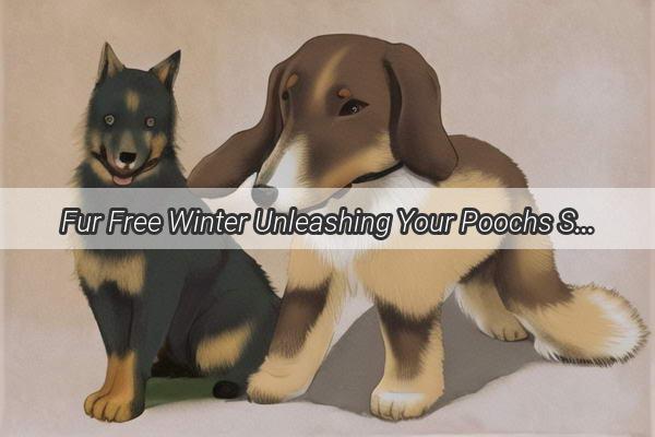 Fur Free Winter Unleashing Your Poochs Summer Coat with Winter Grooming Secrets